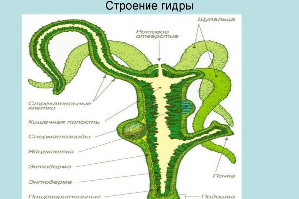 Даркнет товары